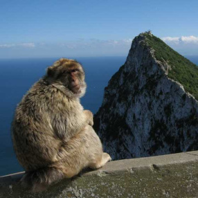 Gibraltar